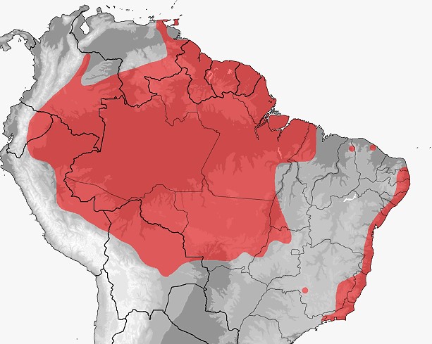 Mapa distribuição Lachesis